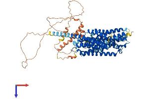 AlphaFold protein structure predicition of Mouse Recombinant Slc20a2 Protein, UniprotID Q80UP8