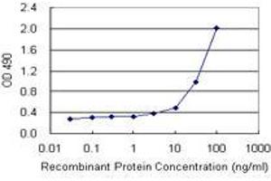 Sandwich ELISA detection sensitivity ranging from 3 ng/mL to 100 ng/mL. (TP53RK (Humain) Matched Antibody Pair)