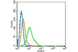 Hela cells probed with Giantin/GM130 Polyclonal Antibody, Unconjugated  at 1:100 for 30 minutes followed by incubation with a conjugated secondary (PE Conjugated) (green) for 30 minutes compared to control cells (blue), secondary only (light blue) and isotype control (orange).