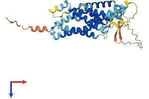 AlphaFold protein structure predicition of Human Recombinant GPR160 Protein, UniprotID Q9UJ42