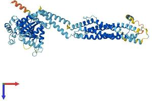 AlphaFold protein structure predicition of Mouse Recombinant Mx1 Protein, UniprotID P09922