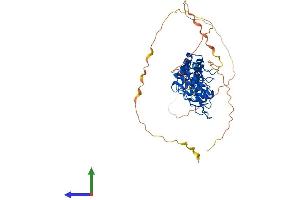 AlphaFold protein structure predicition of Human Recombinant BCL3 Protein, UniprotID P20749