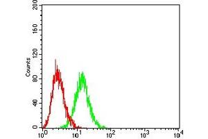 Flow cytometric analysis of HL-60 cells using CD361 mouse mAb (green) and negative control (red).