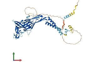AlphaFold protein structure predicition of Mouse Recombinant P2rx2 Protein, UniprotID Q8K3P1