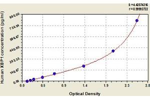X-Box Binding Protein 1 (XBP1) ELISA Kit