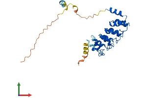 AlphaFold protein structure predicition of Human Recombinant ANKRD49 Protein, UniprotID Q8WVL7