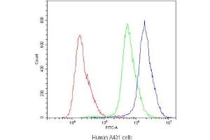Flow cytometry testing of human A431 cells with ABCB11 antibody at 1ug/10^6 cells (blocked with goat sera)
