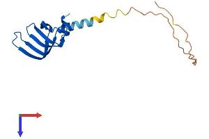 AlphaFold protein structure predicition of Human Recombinant LSM4 Protein, UniprotID Q9Y4Z0