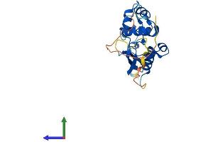 AlphaFold protein structure predicition of Mouse Recombinant Mgmt Protein, UniprotID P26187