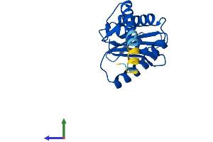 AlphaFold protein structure predicition of Mouse Recombinant Ap1s2 Protein, UniprotID Q9DB50