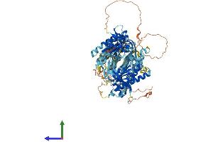 AlphaFold protein structure predicition of Mouse Recombinant Adcy3 Protein, UniprotID Q8VHH7