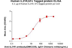 ELISA plate pre-coated by 2 μg/mL (100 μL/well) Human IL21R Protein, hFc Tag(ABIN7092688, ABIN7272228 and ABIN7272229) can bind Anti-IL21R antibody, IgG1 Chimeric mAb in a linear range of 3.