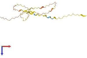 AlphaFold protein structure predicition of Human Recombinant C10orf55 Protein, UniprotID Q5SWW7