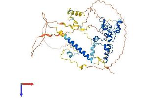 AlphaFold protein structure predicition of Human Recombinant CDCA7L Protein, UniprotID Q96GN5