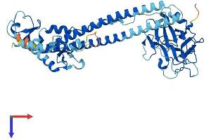 AlphaFold protein structure predicition of Mouse Recombinant Trim68 Protein, UniprotID Q8K243