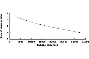 ELISA image for Arginine Vasopressin (AVP) CLIA Kit (ABIN4947359)