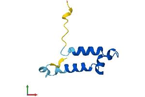 AlphaFold protein structure predicition of Human Recombinant COA5 Protein, UniprotID Q86WW8