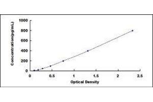 ELISA image for CD46 (CD46) ELISA Kit (ABIN416934)