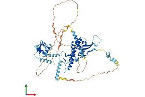AlphaFold protein structure predicition of Mouse Recombinant Cdt1 Protein, UniprotID Q8R4E9