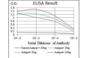 Black line: Control Antigen (100 ng), Purple line: Antigen(10 ng), Blue line: Antigen (50 ng), Red line: Antigen (100 ng),