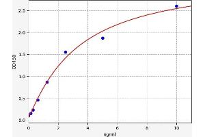 Laminin (LN) ELISA Kit