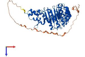 AlphaFold protein structure predicition of Human Recombinant FBXL16 Protein, UniprotID Q8N461