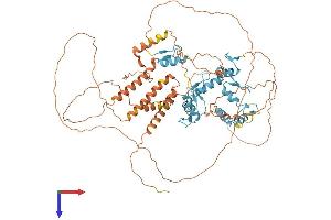 AlphaFold protein structure predicition of Human Recombinant PATZ1 Protein, UniprotID Q9HBE1