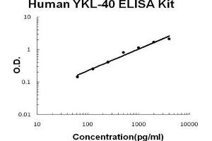 Human Chitinase 3-like 1/YKL-40 PicoKine ELISA Kit standard curve