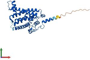 AlphaFold protein structure predicition of Human Recombinant SC5D Protein, UniprotID O75845