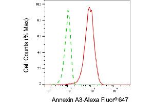 Flow cytometric analysis of Annexin A3 expression in HepG2 cells using Annexin A3 antibody (ABIN7797618), 1:2,000).