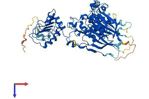 AlphaFold protein structure predicition of Human Recombinant CNOT6L Protein, UniprotID Q96LI5