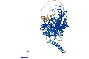 AlphaFold protein structure predicition of Mouse Recombinant Tph2 Protein, UniprotID Q8CGV2