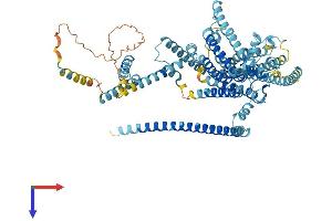 AlphaFold protein structure predicition of Human Recombinant TMC1 Protein, UniprotID Q8TDI8