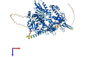 AlphaFold protein structure predicition of Mouse Recombinant Dhx15 Protein, UniprotID O35286