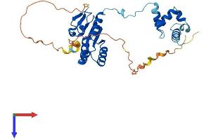 AlphaFold protein structure predicition of Mouse Recombinant Ercc1 Protein, UniprotID P07903