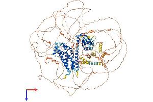 AlphaFold protein structure predicition of Mouse Recombinant Plekhg2 Protein, UniprotID Q6KAU7
