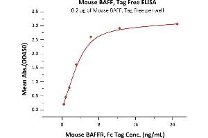 Immobilized Mouse BAFF, Tag Free (ABIN6386416,ABIN6388247) at 2 μg/mL (100 μL/well) can bind Mouse BAFFR, Fc Tag (ABIN5526590,ABIN5526591) with a linear range of 0.