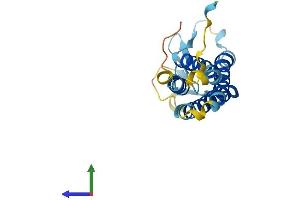 AlphaFold protein structure predicition of Mouse Recombinant Perp Protein, UniprotID Q9JK95