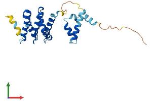 AlphaFold protein structure predicition of Human Recombinant STAG3L1 Protein, UniprotID P0CL83