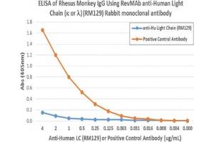 The recombinant Human Ig Light Chains antibody does not cross-react with monkey IgG. (Recombinant Ig Light Chains anticorps)