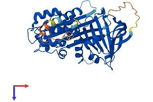 AlphaFold protein structure predicition of Mouse Recombinant Serpinb10 Protein, UniprotID Q8K1K6