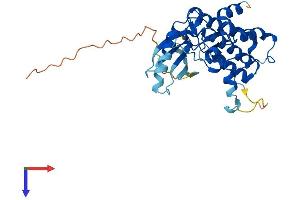 AlphaFold protein structure predicition of Human Recombinant PBK Protein, UniprotID Q96KB5