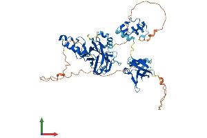 AlphaFold protein structure predicition of Mouse Recombinant Tfcp2 Protein, UniprotID Q9ERA0