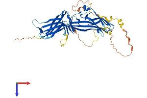 AlphaFold protein structure predicition of Mouse Recombinant Arrdc4 Protein, UniprotID A0A0B4J1F4