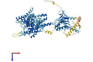 AlphaFold protein structure predicition of Human Recombinant SLC26A4 Protein, UniprotID O43511