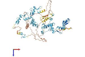 AlphaFold protein structure predicition of Human Recombinant ZFP90 Protein, UniprotID Q8TF47