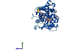 AlphaFold protein structure predicition of Mouse Recombinant Adk Protein, UniprotID P55264