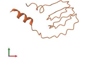 AlphaFold protein structure predicition of Human Recombinant KRTAP21-2 Protein, UniprotID Q3LI59