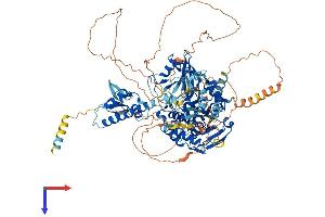 AlphaFold protein structure predicition of Human Recombinant USP33 Protein, UniprotID Q8TEY7