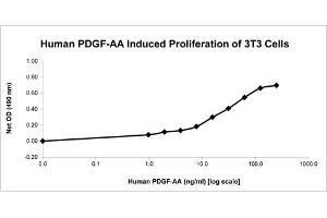 SDS-PAGE of Human Platelet Derived Growth Factor-AA Recombinant Protein Bioactivity of Human Platelet Derived Growth Factor-AA Recombinant Protein.